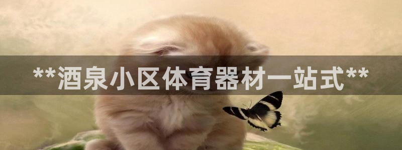 耀世娱乐是什么意思啊：**酒泉小区体育器材一站式**