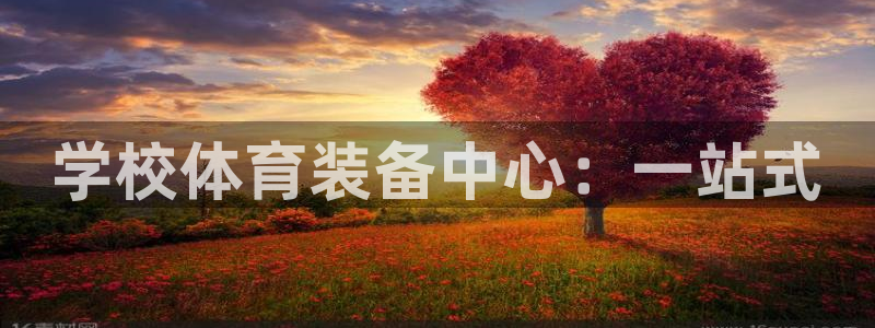 耀世平台有很多登录地址怎么回事：学校体育装备中心：一站式