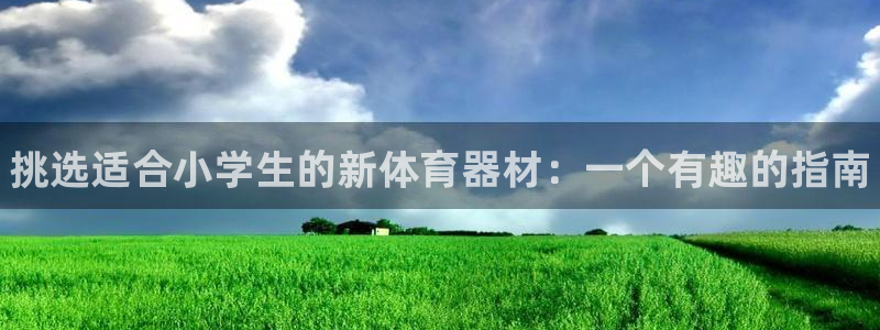 耀世娱乐电 5O6917 娱乐：挑选适合小学生的新体育器材：