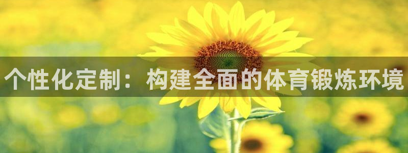 耀世娱乐平台官网登录不了怎么回事：个性化定制：构建全面的体育