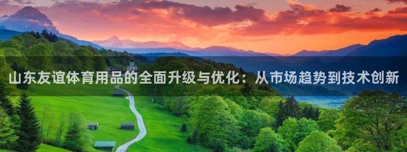 耀世平台主管代理是谁：山东友谊体育用品的全面升级与优化：从市