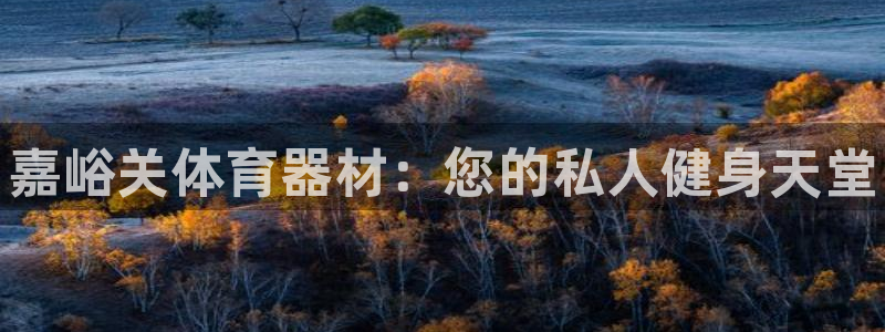耀世娱乐注册官网：嘉峪关体育器材：您的私人健身天堂
