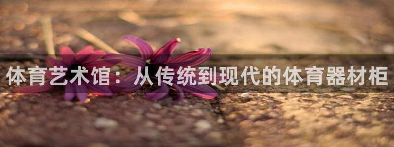 耀世游戏：体育艺术馆：从传统到现代的体育器材柜
