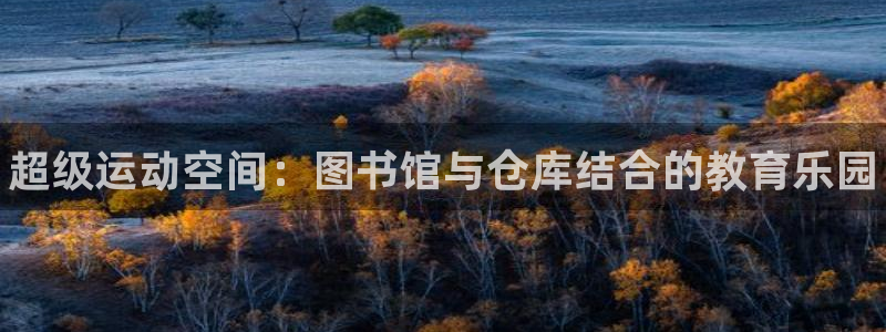 耀世娱乐平台官网下载：超级运动空间：图书馆与仓库结合的教育乐