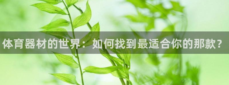 耀世官方网站：体育器材的世界：如何找到最适合你的那款