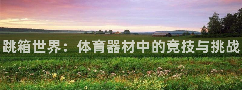 耀世集团商业联盟官网：跳箱世界：体育器材中的竞技与挑