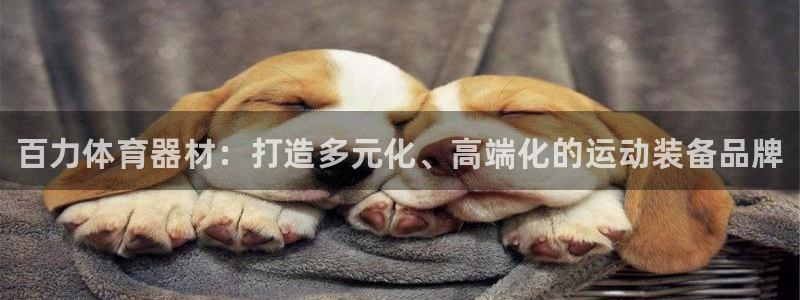 耀世娱乐含山设备：百力体育器材：打造多元化、高端化的