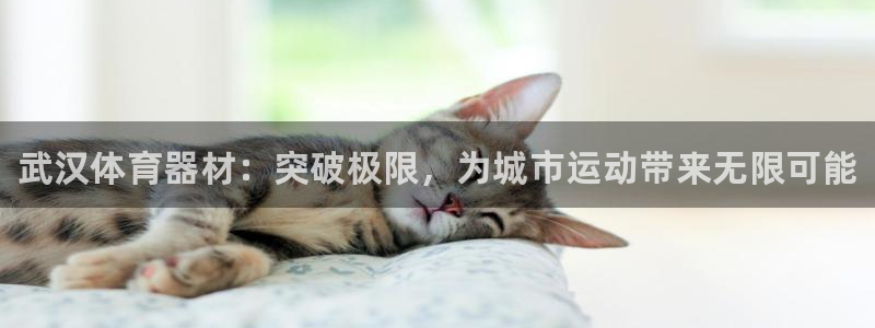 耀世娱乐官网注册流程：武汉体育器材：突破极限，为城市