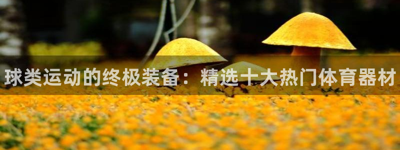 耀世娱乐客服电话号码：球类运动的终极装备：精选十大热
